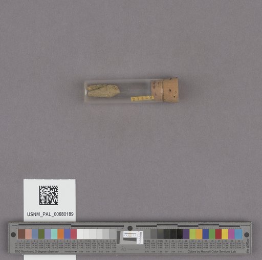NSF ADBC EPICC TCN
