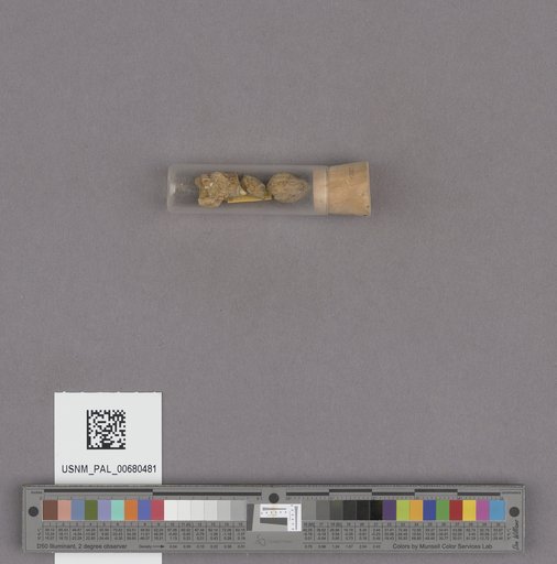 NSF ADBC EPICC TCN