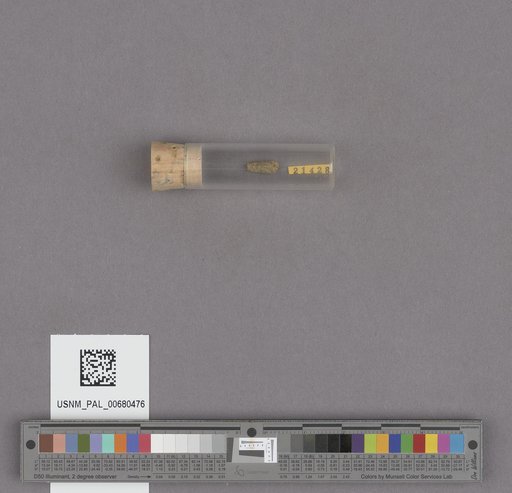 NSF ADBC EPICC TCN