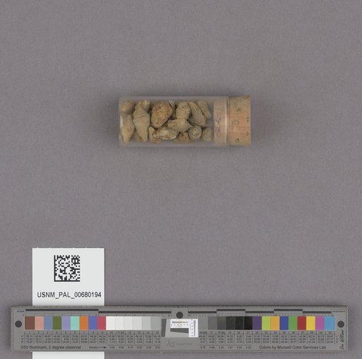 NSF ADBC EPICC TCN