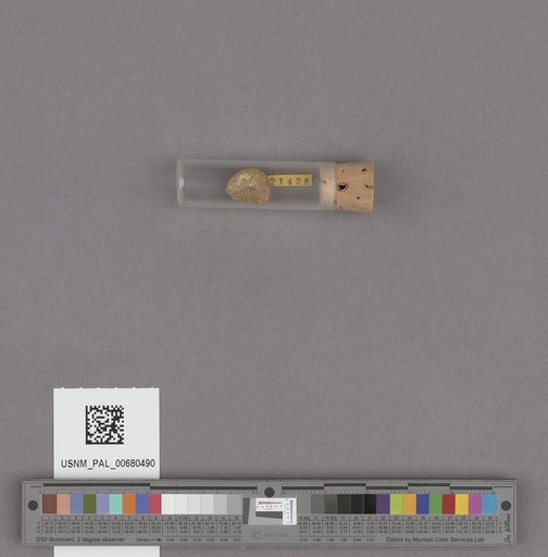 NSF ADBC EPICC TCN