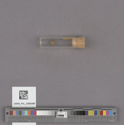 NSF ADBC EPICC TCN