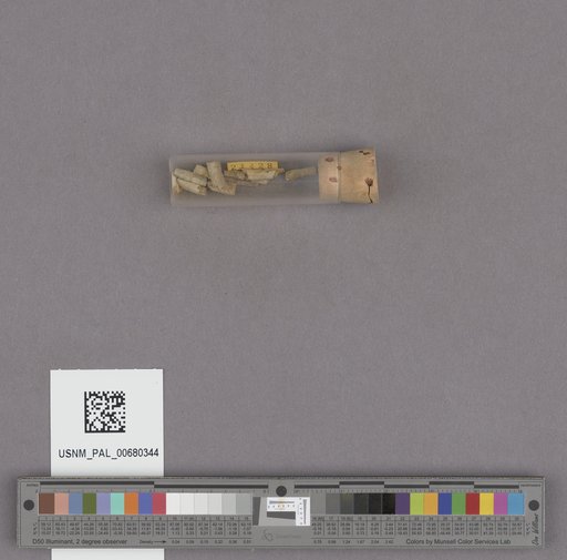 NSF ADBC EPICC TCN