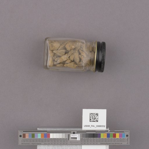NSF ADBC EPICC TCN