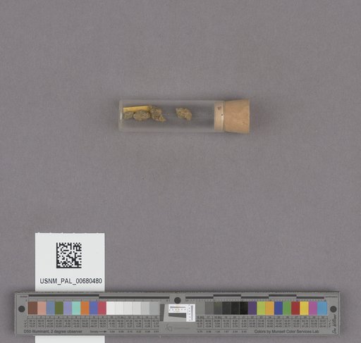 NSF ADBC EPICC TCN