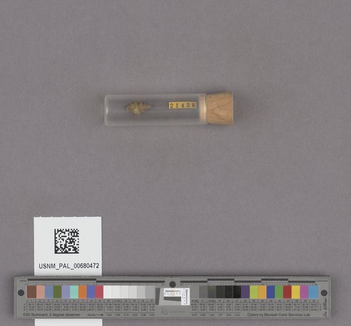 NSF ADBC EPICC TCN