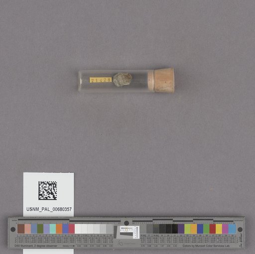 NSF ADBC EPICC TCN