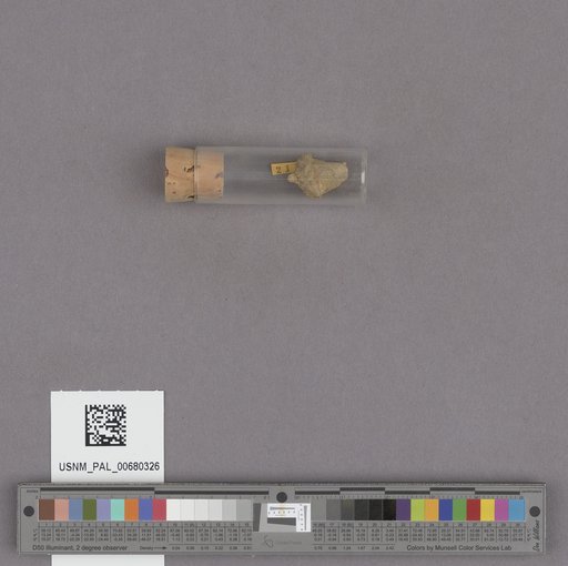 NSF ADBC EPICC TCN
