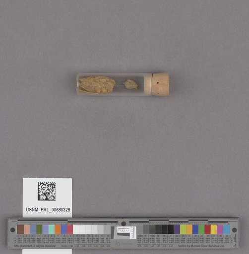 NSF ADBC EPICC TCN