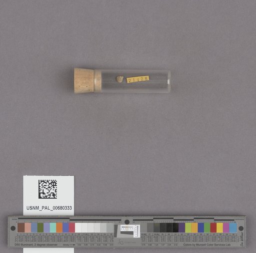 NSF ADBC EPICC TCN