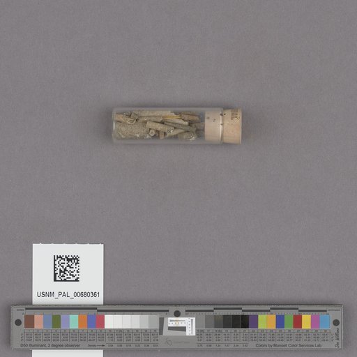 NSF ADBC EPICC TCN