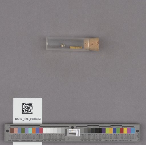 NSF ADBC EPICC TCN