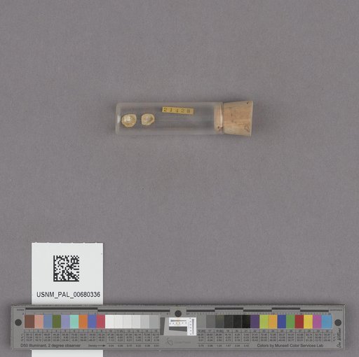 NSF ADBC EPICC TCN
