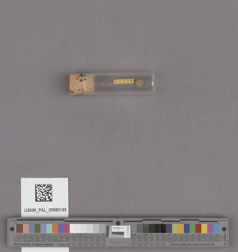 NSF ADBC EPICC TCN