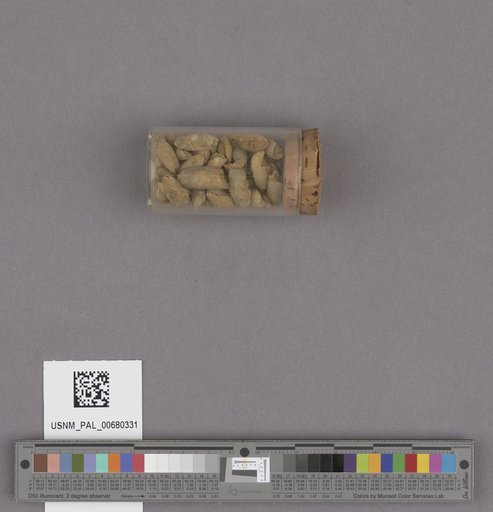 NSF ADBC EPICC TCN