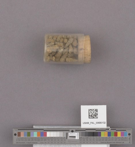 NSF ADBC EPICC TCN