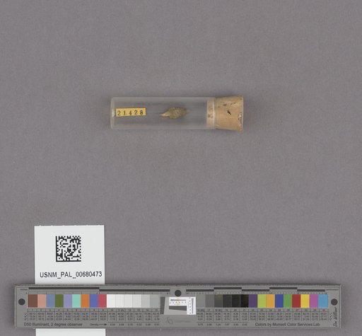 NSF ADBC EPICC TCN