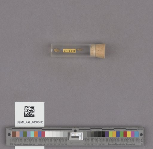 NSF ADBC EPICC TCN