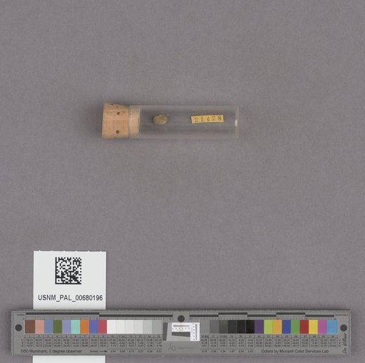 NSF ADBC EPICC TCN