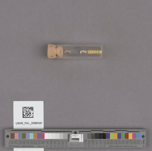 NSF ADBC EPICC TCN
