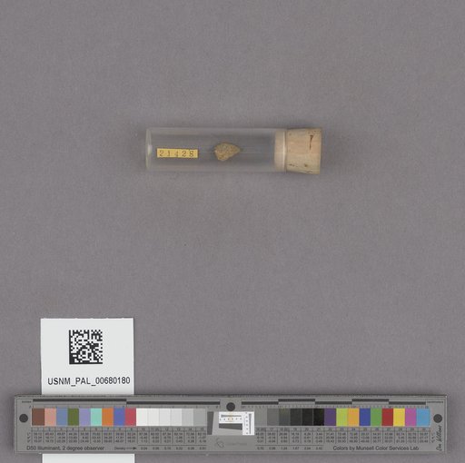 NSF ADBC EPICC TCN