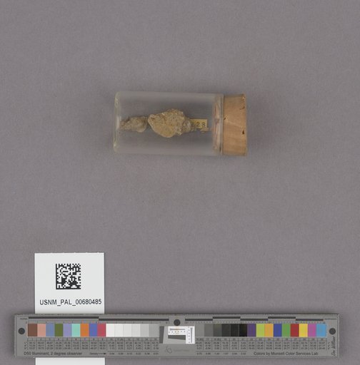 NSF ADBC EPICC TCN