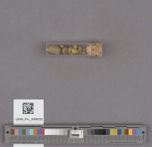 NSF ADBC EPICC TCN