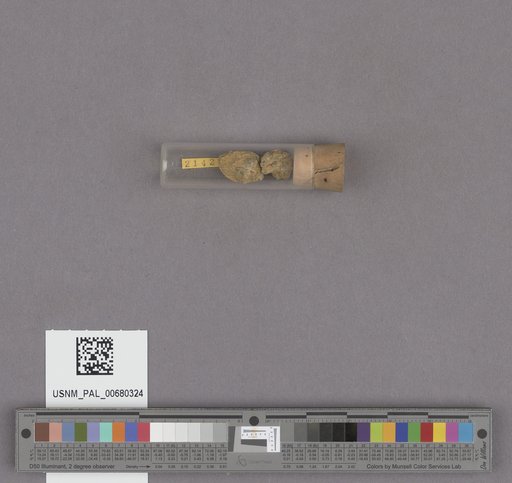 NSF ADBC EPICC TCN