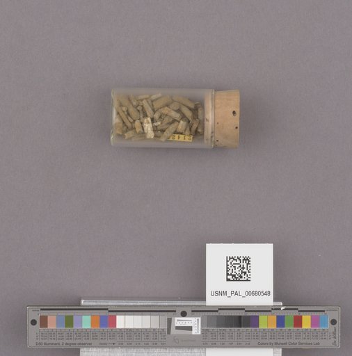 NSF ADBC EPICC TCN