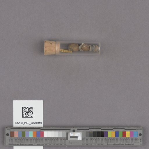 NSF ADBC EPICC TCN