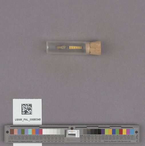 NSF ADBC EPICC TCN