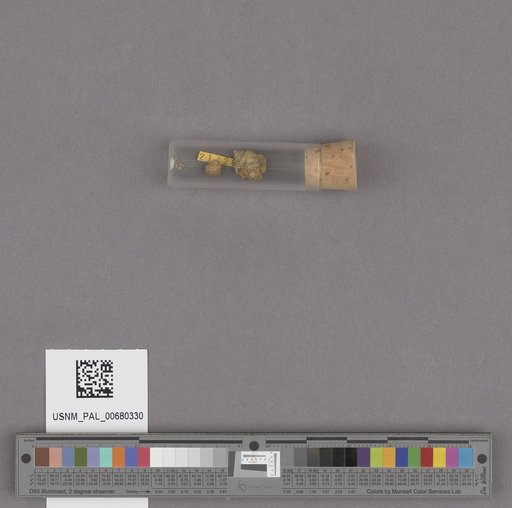 NSF ADBC EPICC TCN