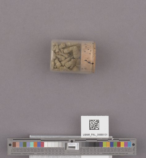 NSF ADBC EPICC TCN