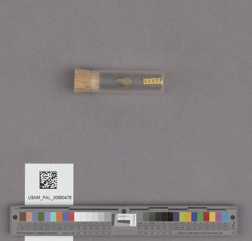 NSF ADBC EPICC TCN