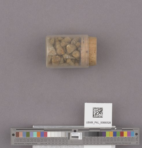NSF ADBC EPICC TCN