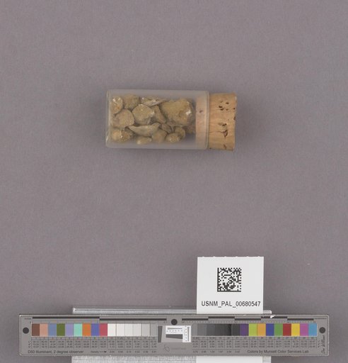 NSF ADBC EPICC TCN