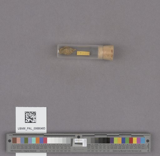 NSF ADBC EPICC TCN