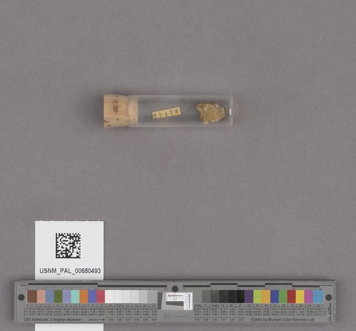NSF ADBC EPICC TCN