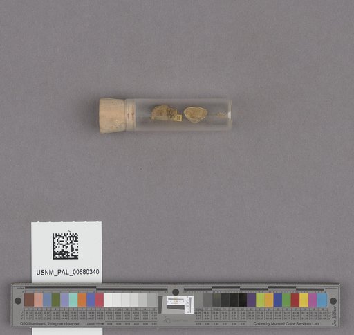 NSF ADBC EPICC TCN