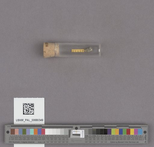 NSF ADBC EPICC TCN