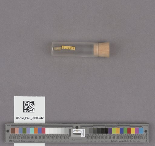 NSF ADBC EPICC TCN