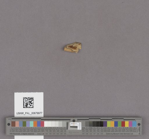 NSF ADBC EPICC TCN
