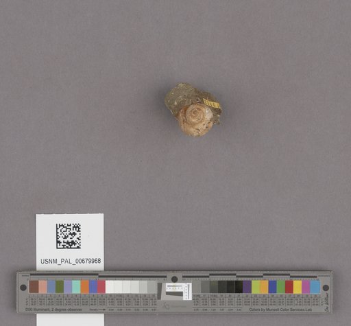 NSF ADBC EPICC TCN
