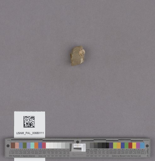 NSF ADBC EPICC TCN
