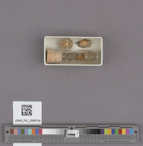 NSF ADBC EPICC TCN