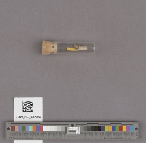 NSF ADBC EPICC TCN