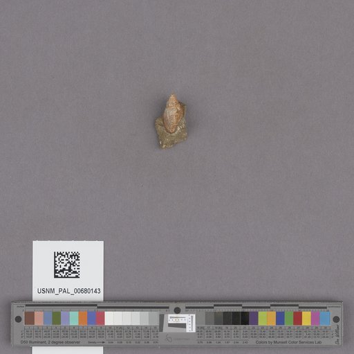 NSF ADBC EPICC TCN