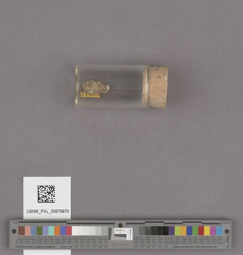 NSF ADBC EPICC TCN