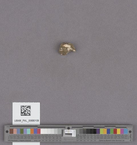 NSF ADBC EPICC TCN