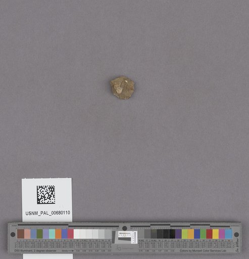 NSF ADBC EPICC TCN